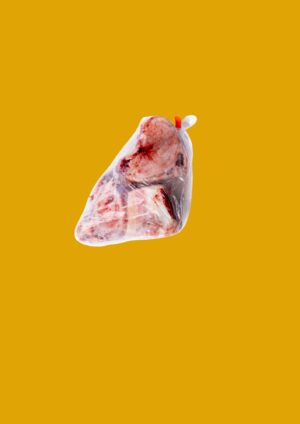 Beef Bones (kg)